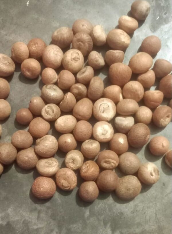 Betelnut