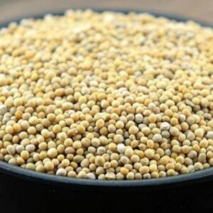 White Mustard