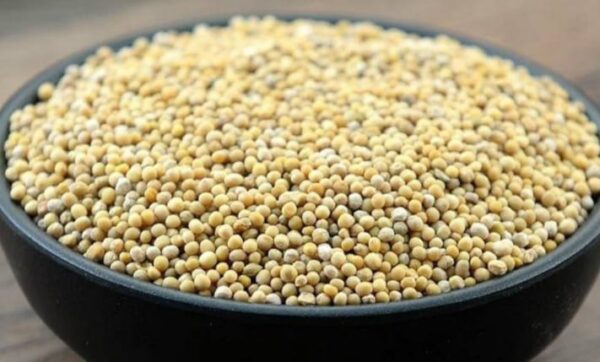 White Mustard